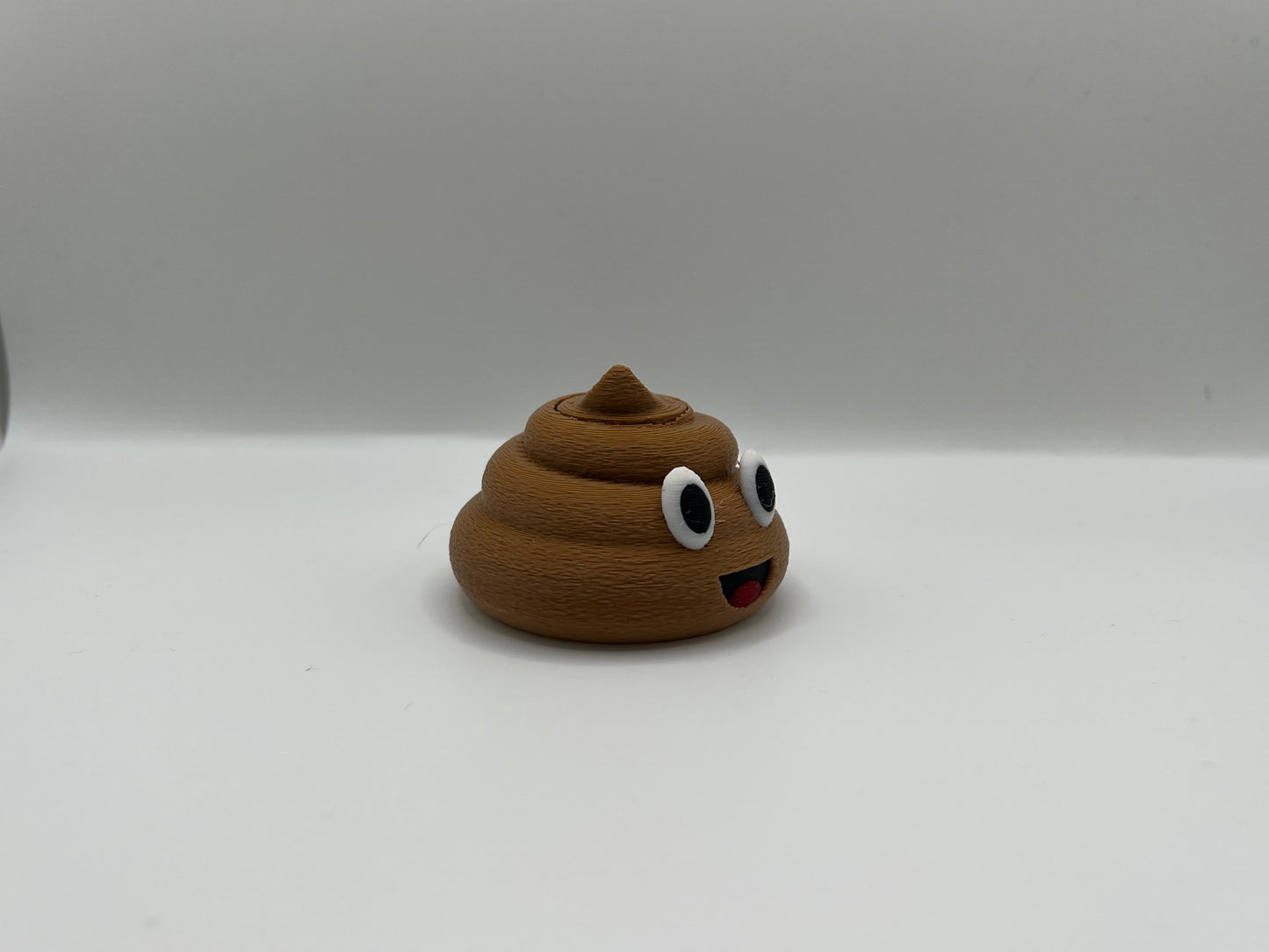 Poop Fidget Toy